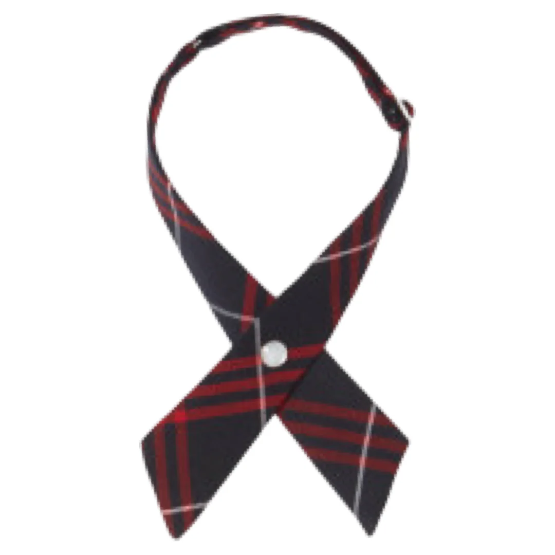 St. Anne Catholic School - Girls Navy / Red  Plaid Crossover Tie - Image 2